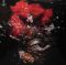 Платівка Bjork – Biophilia|Бйорк-Біофілія(2xLP)