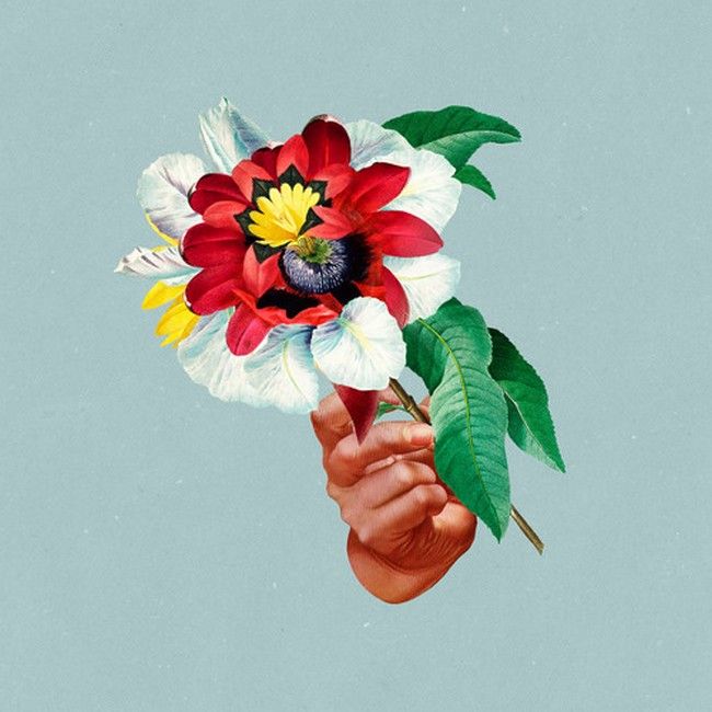 Maribou State – Kingdoms In Colour  (LP, Album, 180g, Vinyl)