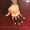 Bobby Womack – The Bravest Man In The Universe (LP,  Album, Vinyl)