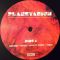 Sufjan Stevens • Nico Muhly • Bryce Dessner • James McAlister – Planetarium (2LP, Album, Vinyl)