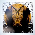 Платівка Austra – Feel It Break|Австрія-Відчуй, як воно ламається(2xLP)