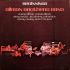Allman Brothers Band – Beginnings (2LP)