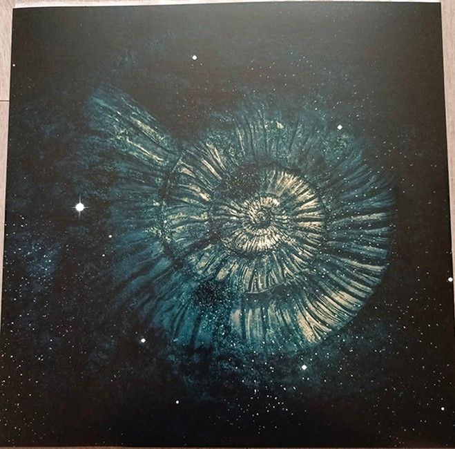 Nightwish – Endless Forms Most Beautiful (2LP, Album, Limited Edition, Reissue, Green Vinyl)