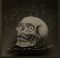 Spite – Dedication To Flesh (LP, Album, Limited Edition, Clear/Black Marble Vinyl)