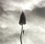 Manchester Orchestra – A Black Mile To The Surface (LP, Silver Vinyl)