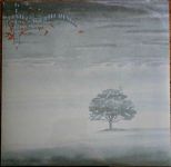 Genesis – Wind & Wuthering (LP, Reissue, Vinyl)
