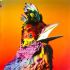 Платівка Flume – Palaces|Жолоб-Палаци(2xLP)