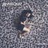 Платівка Annisokay – Arms|Аннісокей-Зброя