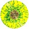 In Hearts Wake – Ark (LP, Album, Limited Edition, Yellow w/ Blue Splatter Vinyl)
