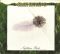The Gathering - Nighttime Birds (LP,LP, Album, Limited Edition, Picture Disc, Reissue, Vinyl)