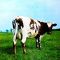 Платівка Pink Floyd - Atom Heart Mother (Vinyl) | Пінк Флойд