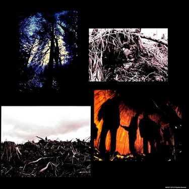 Pearl Jam - Vs. 