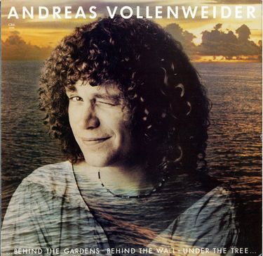 Платівка Андреас Воленвейдер | Andreas Vollenweider - Behind The Gardens (Vinyl)