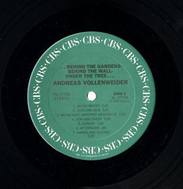 Платівка Андреас Воленвейдер | Andreas Vollenweider - Behind The Gardens (Vinyl)