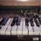 Snarky Puppy - Culcha Vulcha (Vinyl)