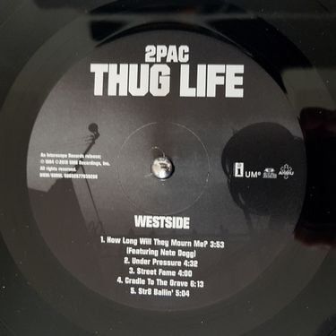 Платівка Тупак Шакур | 2 Pac - Thug Life Vol.1 (VInyl)