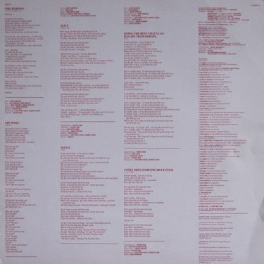 Stevie Nicks - The Other Side Of The Mirror (Vinyl)