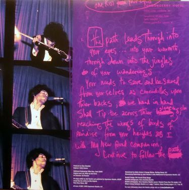 Jimi Hendrix Experience - Are You Experienced? (Vinyl)