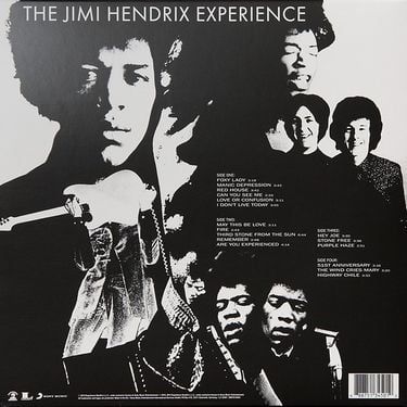 Jimi Hendrix Experience - Are You Experienced? (Vinyl)