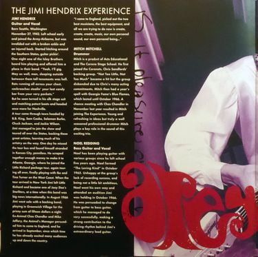 Jimi Hendrix Experience - Are You Experienced? (Vinyl)