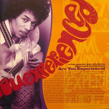 Jimi Hendrix Experience - Are You Experienced? (Vinyl)