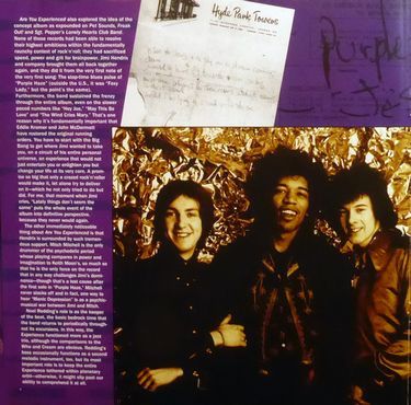 Jimi Hendrix Experience - Are You Experienced? (Vinyl)