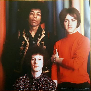 Jimi Hendrix Experience - Are You Experienced? (Vinyl)