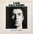 Liam Gallagher - As You Were (Vinyl)