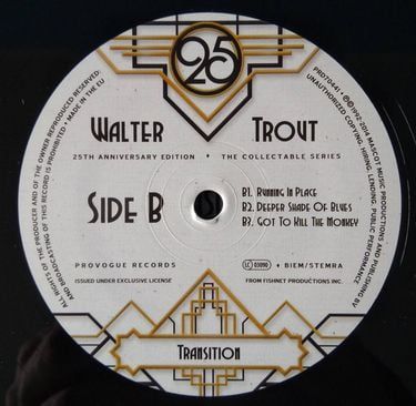 Платівка Волтер Траут - Перехід | Walter Trout - Transition