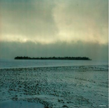 Mark Knopfler - Down The Road Wherever (Vinyl)