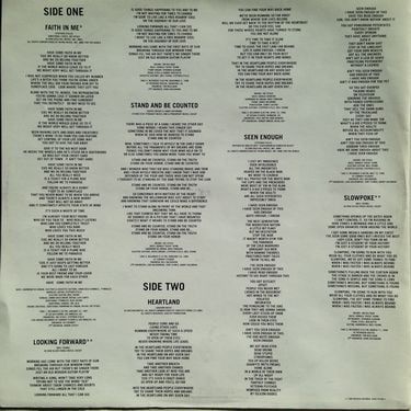 Crosby Stills Nash & Young - Looking For Ward (Vinyl)