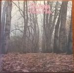 Twink - Think Pink + Sound Of Silk : Demos & Rarities (Vinyl)