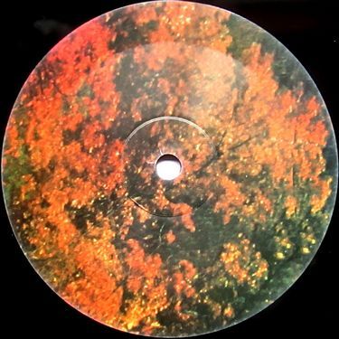 Tame Impala - Innerspeaker (Vinyl)