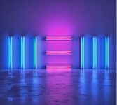 Paul McCartney - New