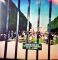 Платівка Tame Impala – Lonerism|Приручити імпалу-Самотність(2xLP)