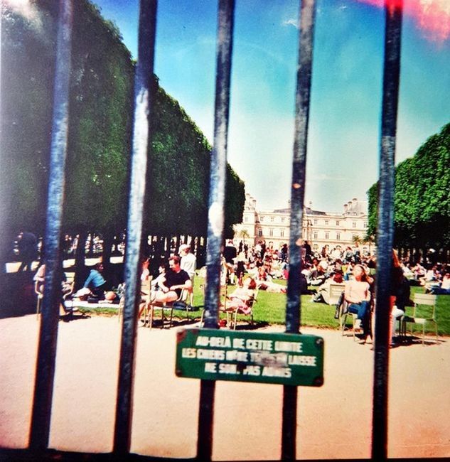Платівка Tame Impala – Lonerism|Приручити імпалу-Самотність(2xLP)